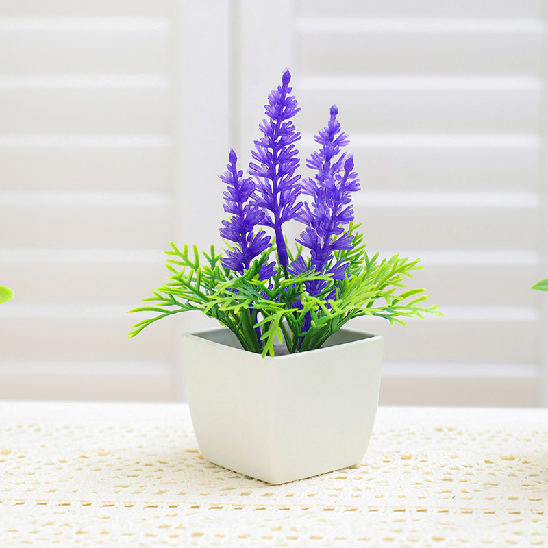 Les petites plantes en pot de  - Baby Bookshelf Small avis et prix